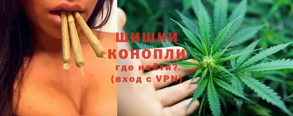 шишки Абинск