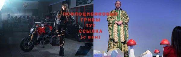шишки Абинск