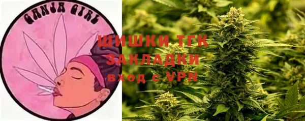 шишки Абинск
