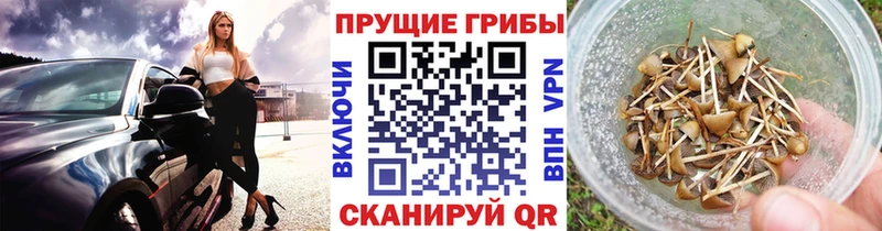 Псилоцибиновые грибы мицелий где продают Никольское